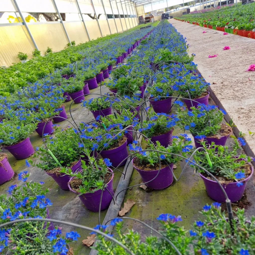 Fiori e piante fiorite — foto 14